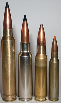 300 Winchester Magnum or 300 Winchester Short Magnum