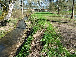 Soppenbach, Heiligkreuztal