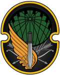 Thumbnail for 65th Airborne Special Forces Brigade
