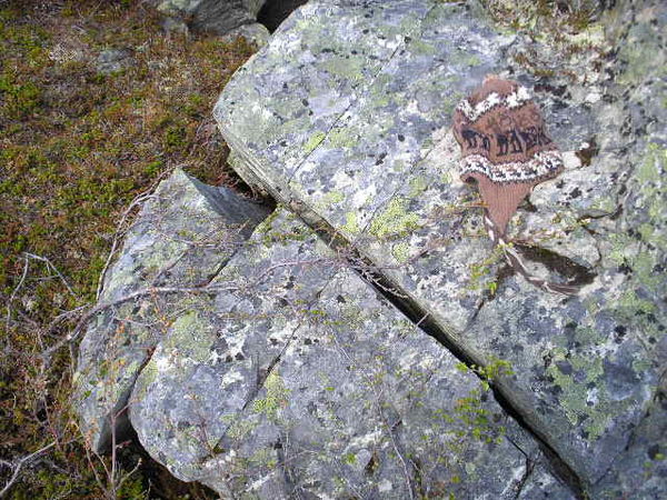 A rock in Abisko fractured along existing joints possibly by mechanical frost weathering