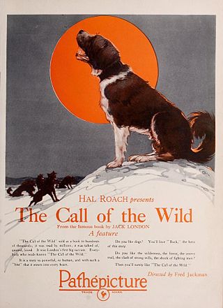 <i>The Call of the Wild</i> (1923 film) 1923 film by Fred Jackman