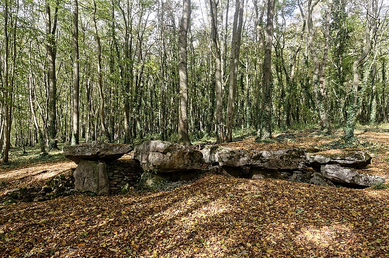 File:Allée couverte de Dampmesnil 2017-10 n03.jpg