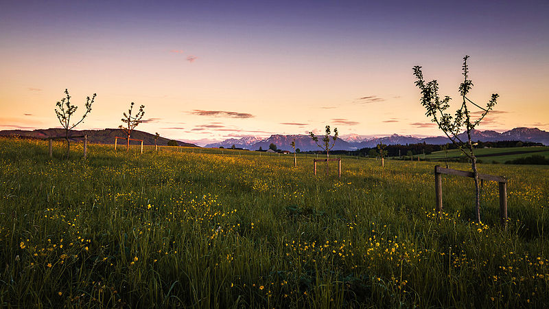 File:Alpen am Horizont.jpg