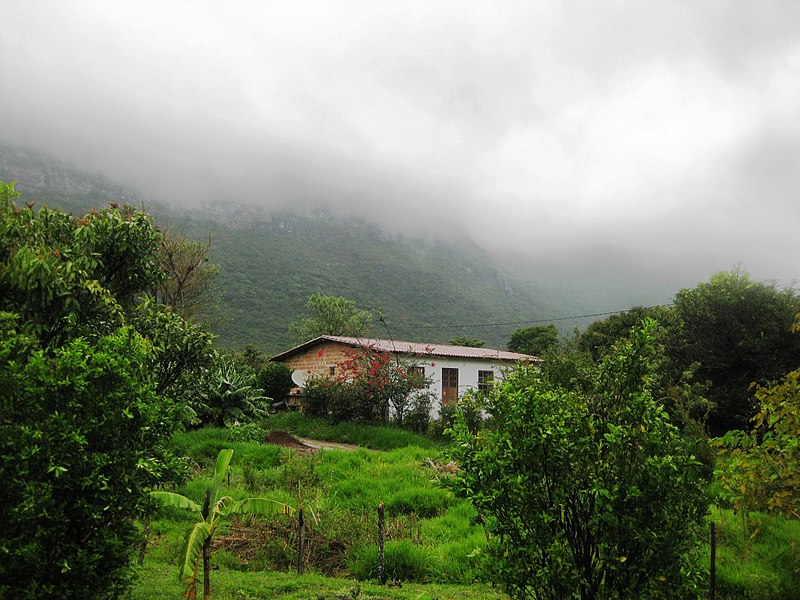 File:Amanhecer no Vale do Capão.JPG