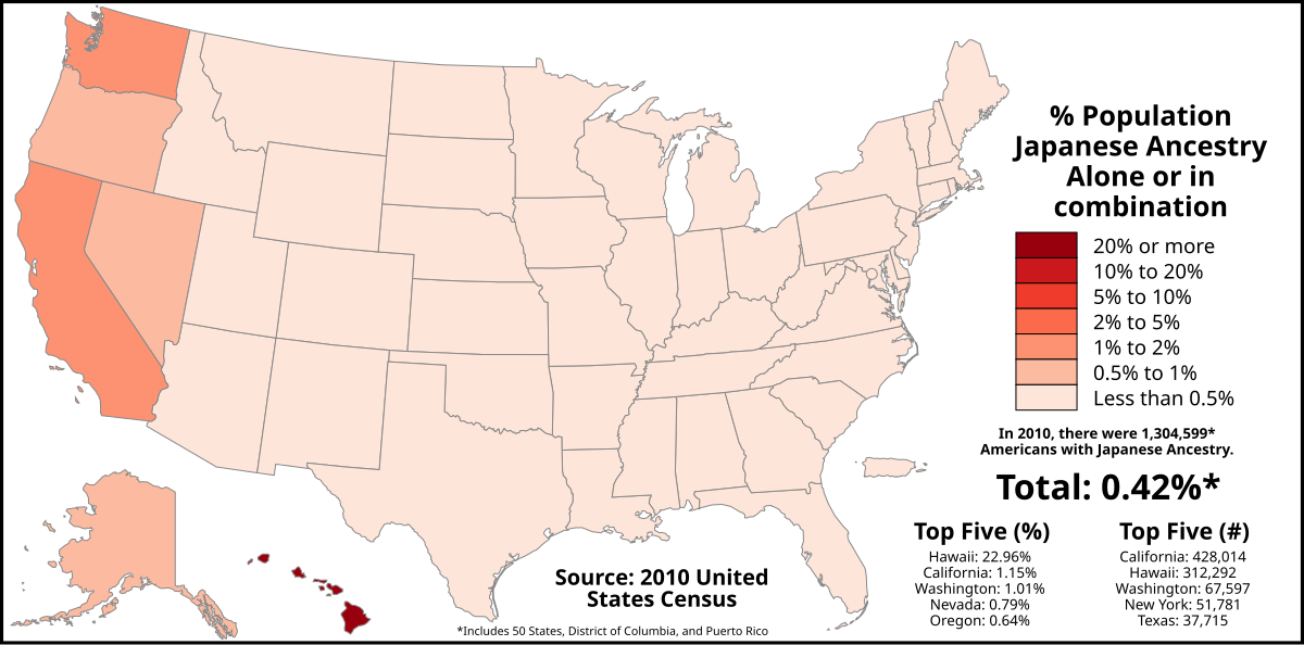 main ethnic groups in america