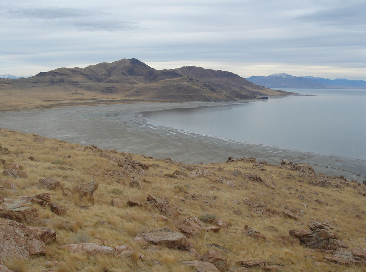 are dogs allowed on antelope island