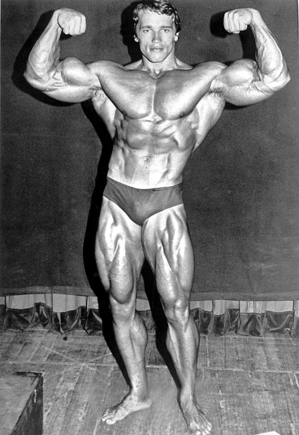 As entrant to the 1974 Mr. Olympia competition at Madison Square Garden