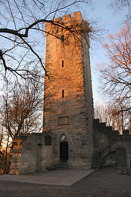 The lookout tower (keep) of the hamlet castle