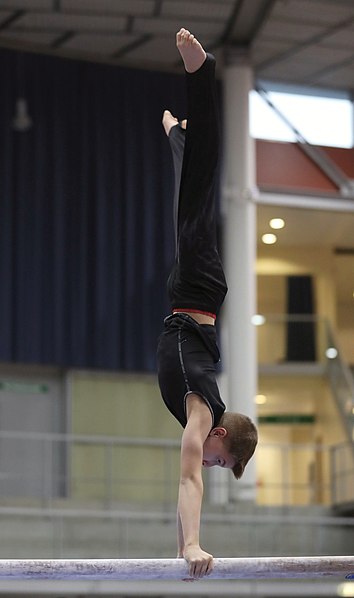 File:Austrian Future Cup 2018-11-23 Training Afternoon Parallel bars (Martin Rulsch) 0191.jpg