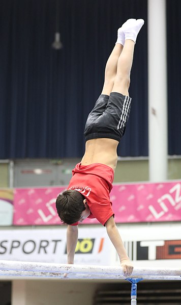 File:Austrian Future Cup 2018-11-23 Training Afternoon Parallel bars (Martin Rulsch) 0639.jpg