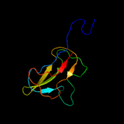 Biotin Carboxyl Carrier Protein of E. Coli Acetyl CoA Carboxylase