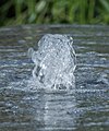 * Nomination Detail of a fountain, Schweizerwiese, Bad Herrenalb, Germany --Llez 15:40, 25 July 2017 (UTC) * Promotion Neat "glass sculpture". :-) Good quality. --W.carter 20:41, 25 July 2017 (UTC)