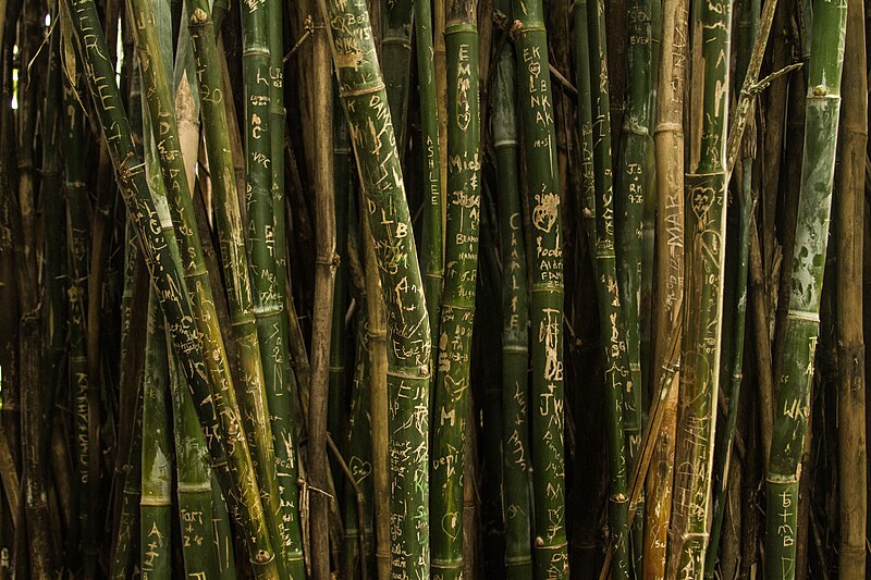 File:Bamboo graffiti (Unsplash).jpg