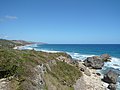 Bathsheba, Barbados - panoramio.jpg