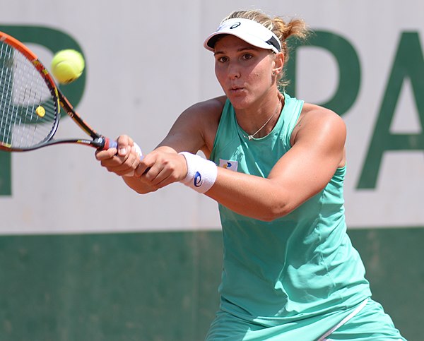 Haddad at the 2015 French Open