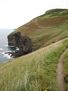 Beny Cliff - geograph.org.uk - 1565213.jpg