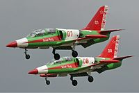 Belaya Rus Aero L-39 Albatros Pichugin-1.jpg