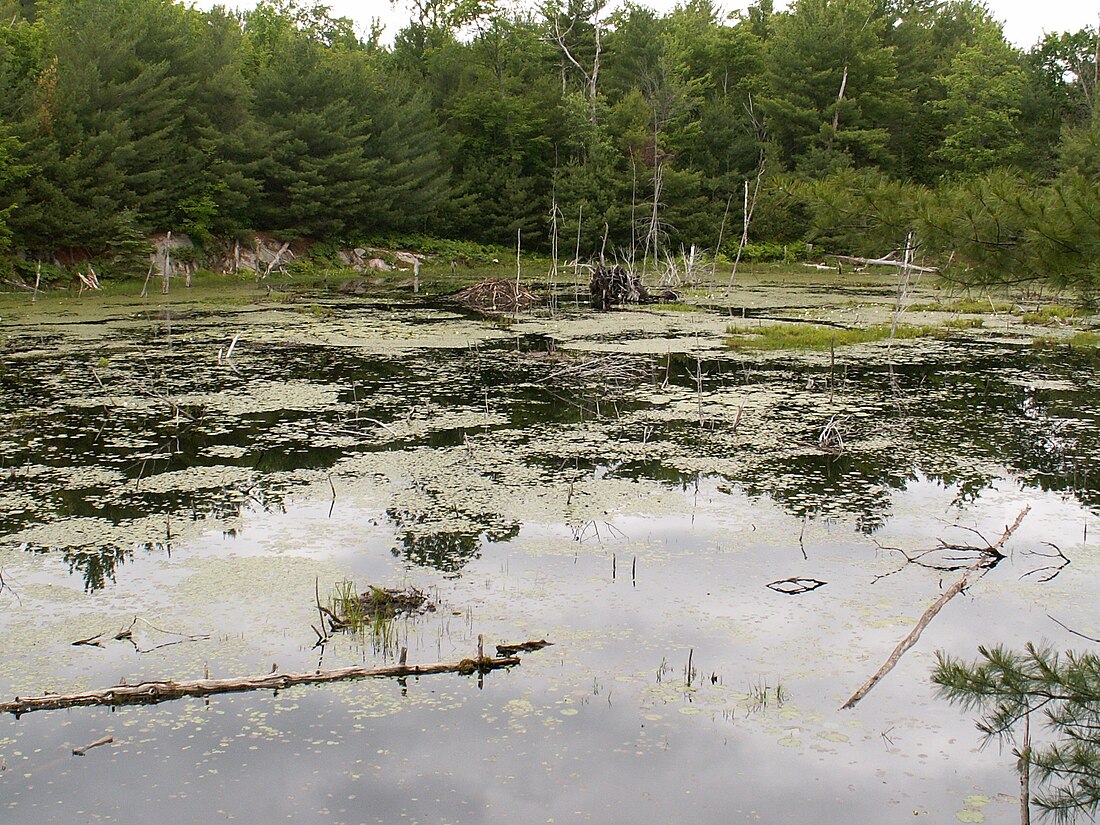 Six Mile Lake Provincial Park