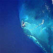 Immagine satellitare dell'isola di North Bimini