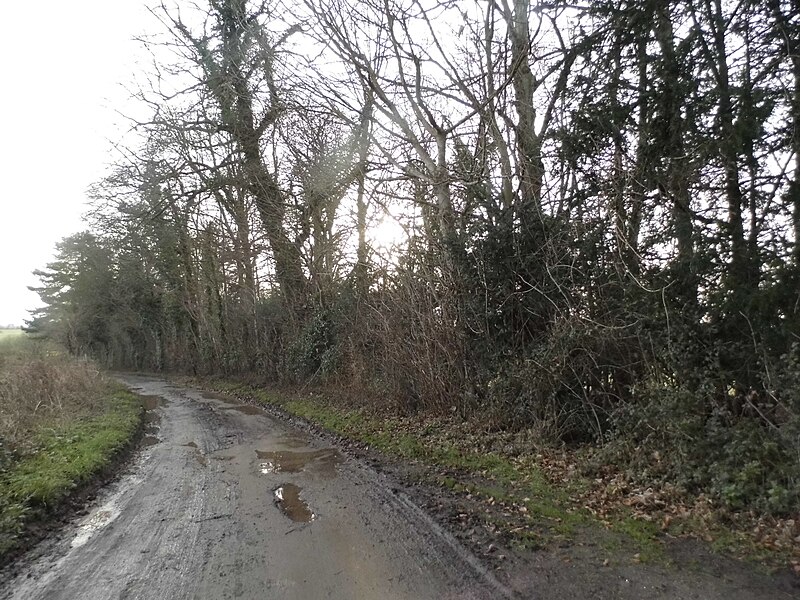 File:Blakes Lane, East Clandon - geograph.org.uk - 4842196.jpg