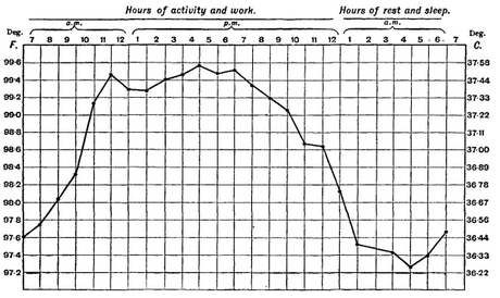 File:Body Temp Variation.png