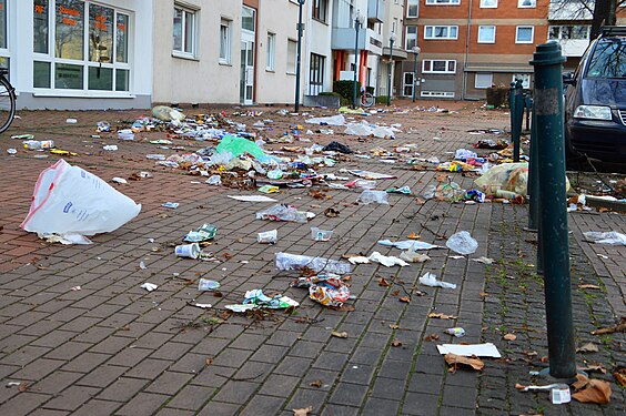 Blown garbage in Bonn, Germany