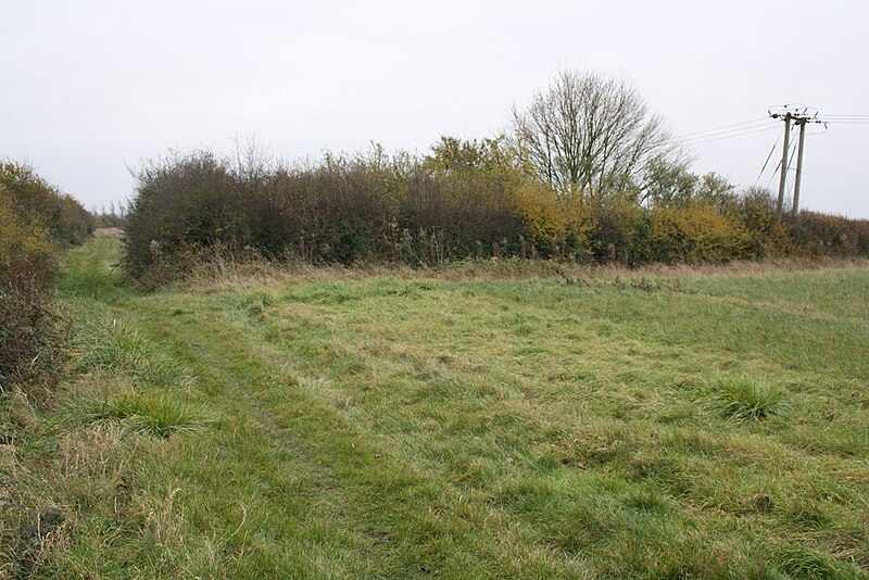 File:Bridleway towards Ladybrook Copse - geograph.org.uk - 3766211.jpg