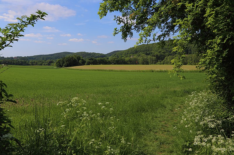 File:Brochterbeck Teutoburger Wald 02.JPG