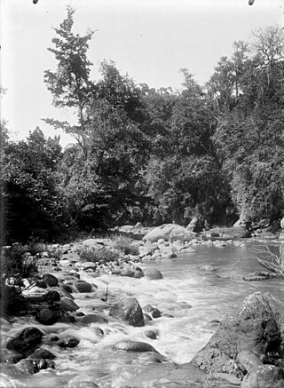 <span class="mw-page-title-main">Kikafu River</span> River in Kilimanjaro Region, Tanzania