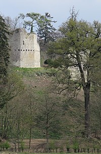 Château fort de Colmont