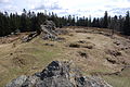 Remnants of the wall of the former Wildstein Castle