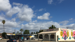 Local businesses along Reo Drive in Paradise Hills