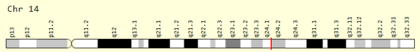The location of the CCDC177 gene on chromosome 14 at 14q24.1. CCDC177-gene.png