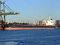 CE-Duke IMO 9219018, Port of Rotterdam, Holland, 06JAN2009 pic6.JPG