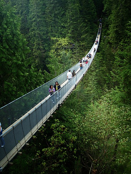 File:Capilano Suspension Bridge -d.jpg