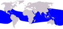 Cetacea range map Spinner Dolphin.PNG
