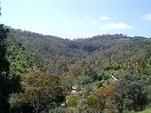 Chambers Gully, as viewed from one of Waterfall Gully's firetracks Chambers Gully.jpg