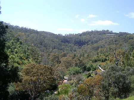 Chambers Gully