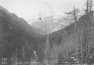 Chilkoot Trail tramway in forest, 1898 Chilkoot trail tramway 1898.jpg