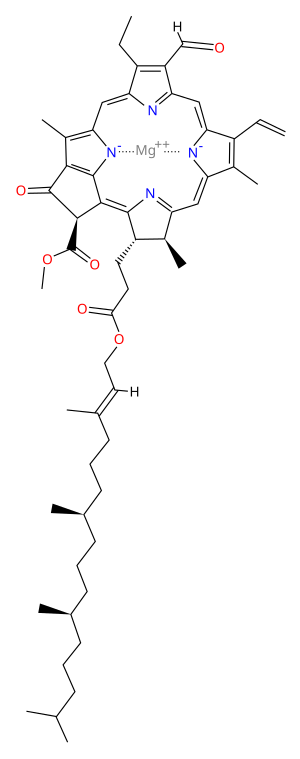 Chlorophyll b.svg