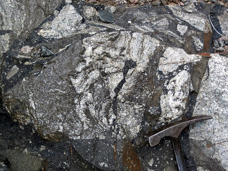 File:Clast-rich impact pseudotachylite (Sudbury Breccia, Paleoproterozoic, 1.85 Ga; Windy Lake Northwest roadcut, Sudbury Impact Structure, Ontario, Canada) 91 (47758866191).jpg