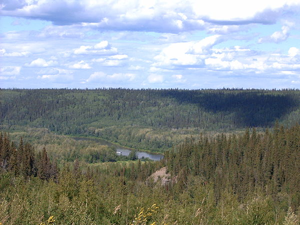 View of the Clearwater River valley from Highway 63