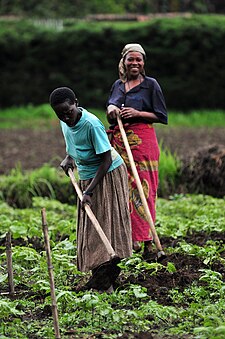 Földművesek, North Kivu