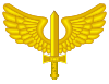 Coat of arms of the Brazilian Air Force.svg