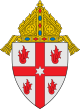 Coat of arms of the Diocese of Saginaw.svg