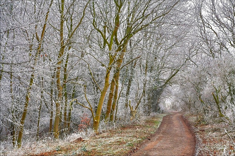 File:Comberdale Hill IMG 6756-01 - panoramio.jpg