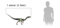 Compsognathus