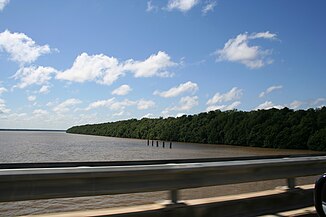 Coppename-Fluss an der Mündung