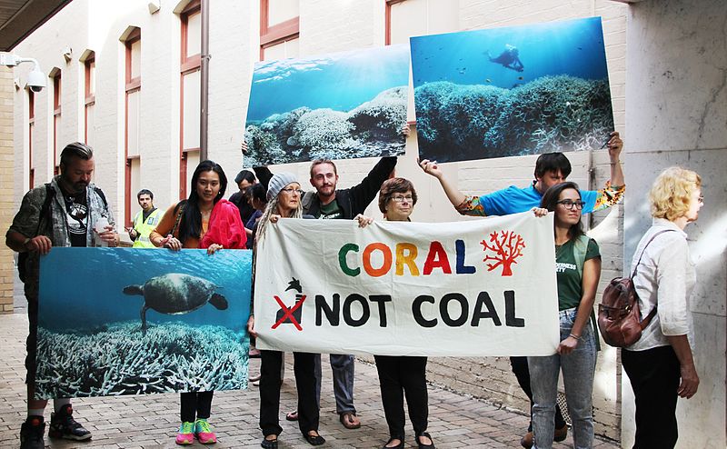 File:Coral not coal protest at India Finance Minister Arun Jaitley Visit to Australia (25561759184).jpg