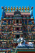 Cowmeenakshi.jpg 